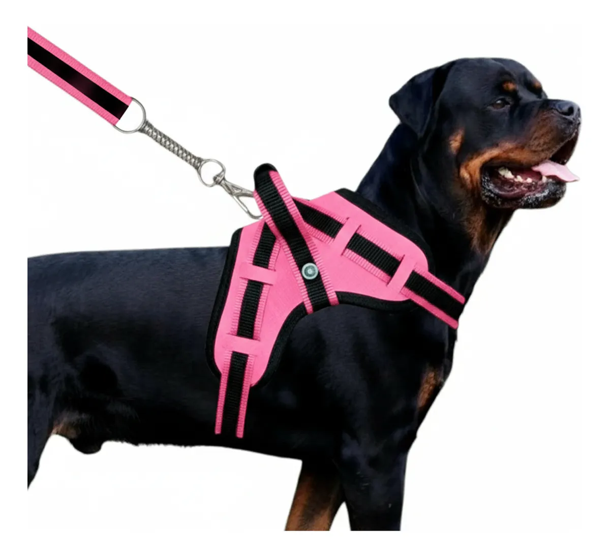 Guia Para Cães Coleira Peitoral Com Alça Reforçado Pit Bull